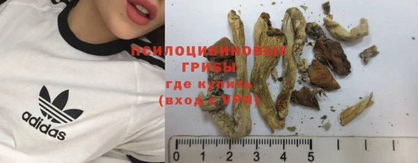 2c-b Алзамай