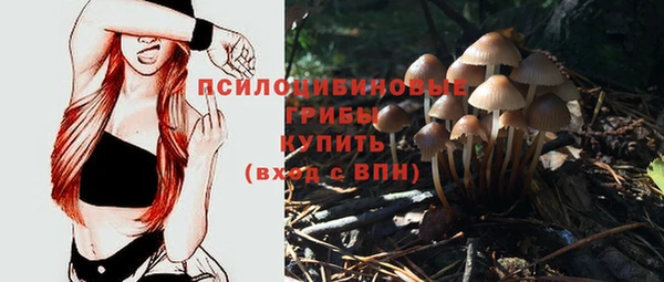 2c-b Алзамай