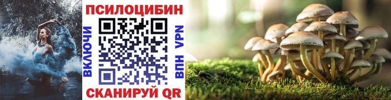 hydra ONION  Мураши  Псилоцибиновые грибы Psilocybine cubensis 