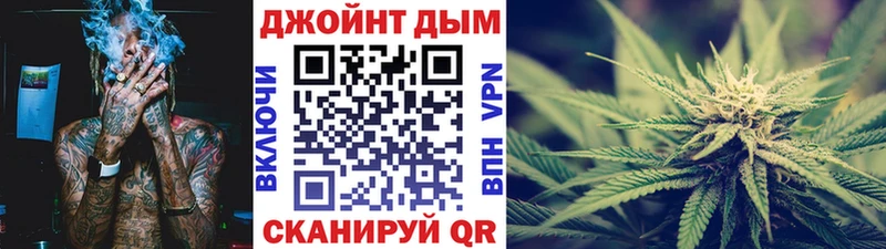 blacksprut онион  Мураши  Бошки Шишки семена 